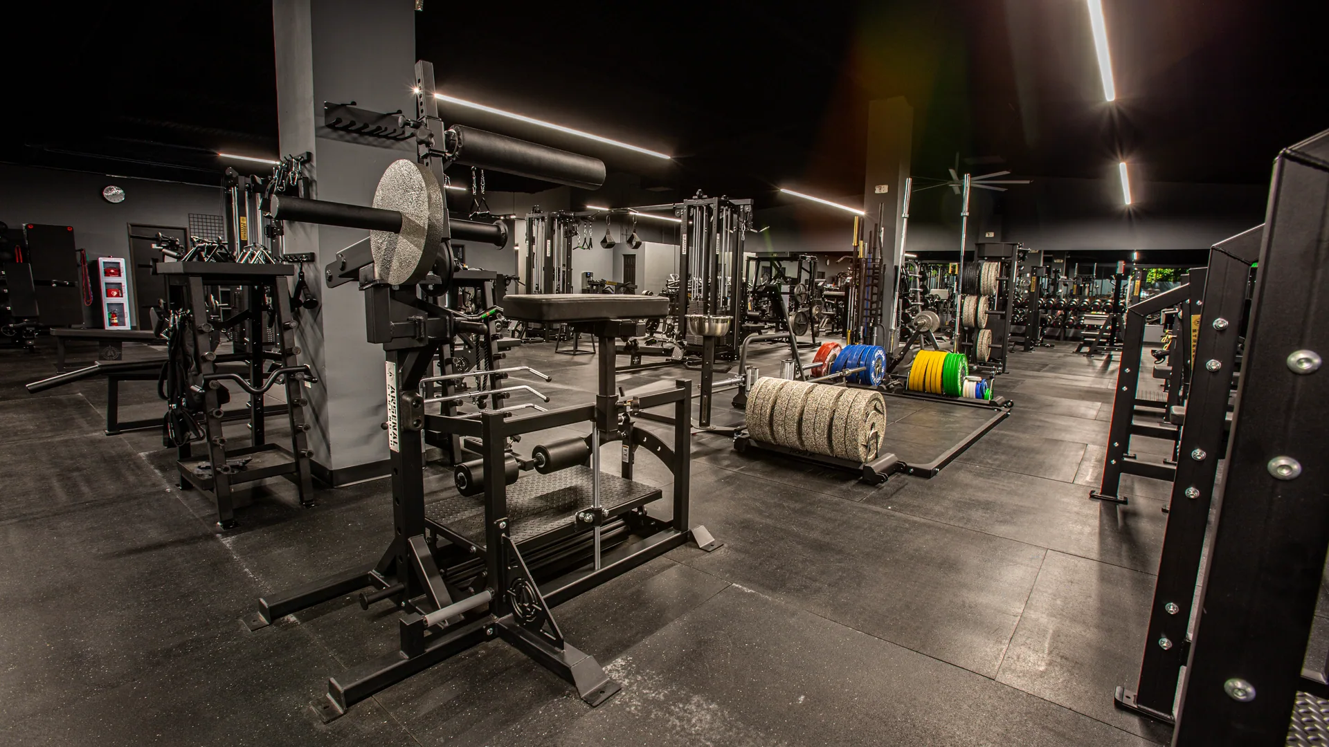 Squat racks and dumbbells with coloured bumper plates