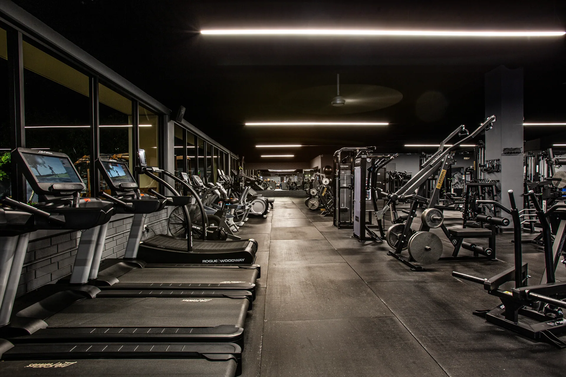 Treadmills and cardio equipment running the length of the floor
